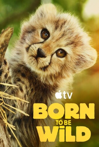 Возвращение в дикую природу